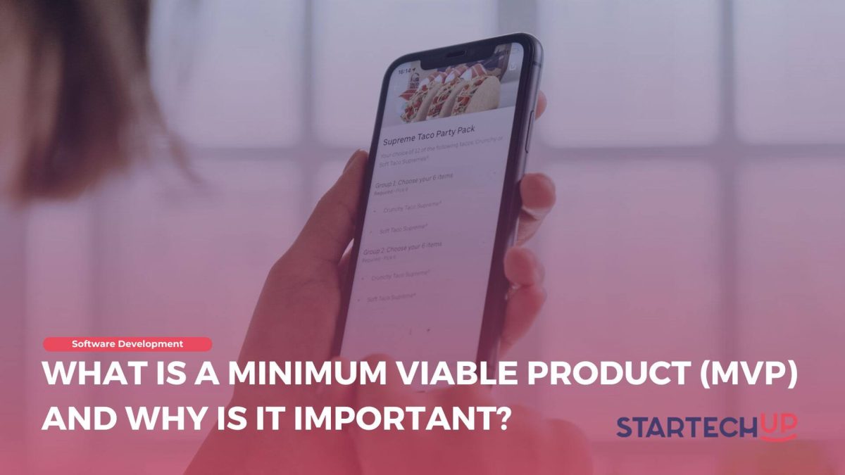 What is a Minimum Viable Product (MVP) and Why is It Important