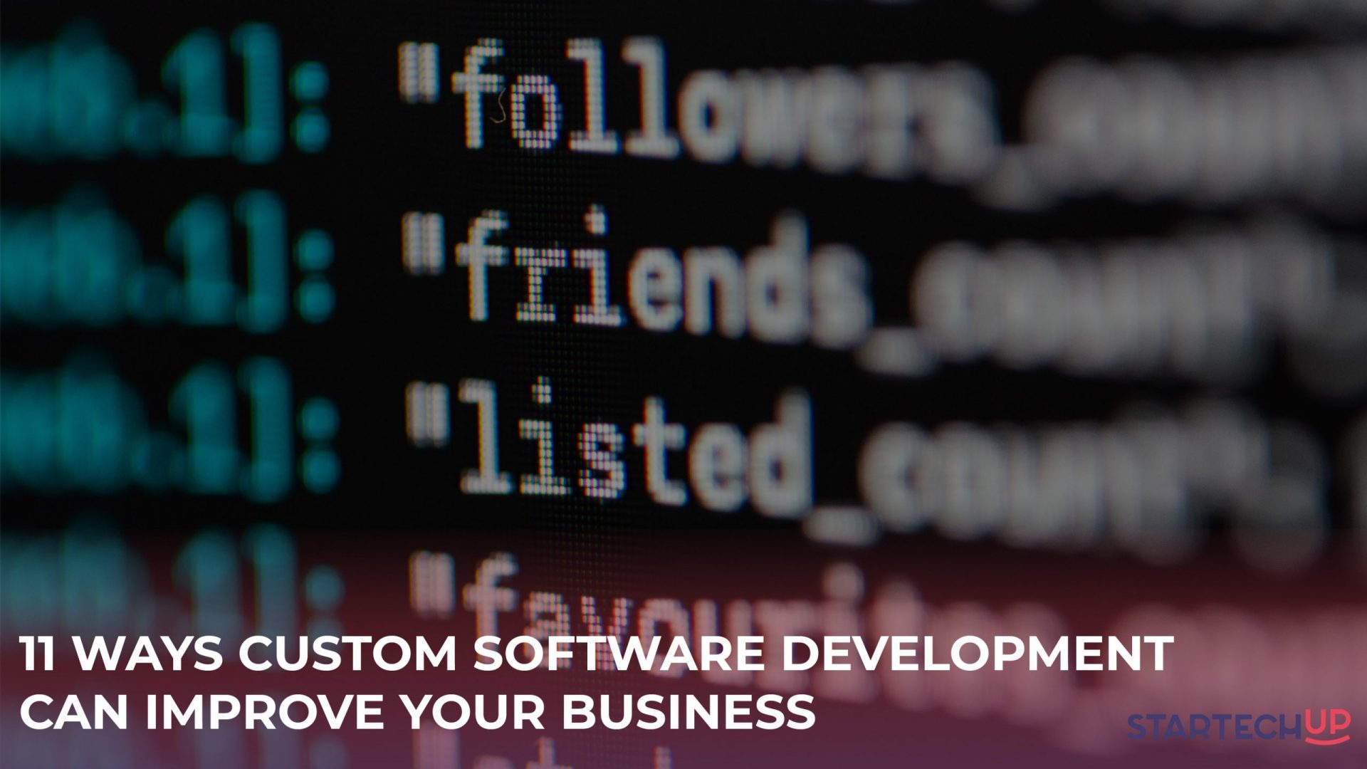 custom software development